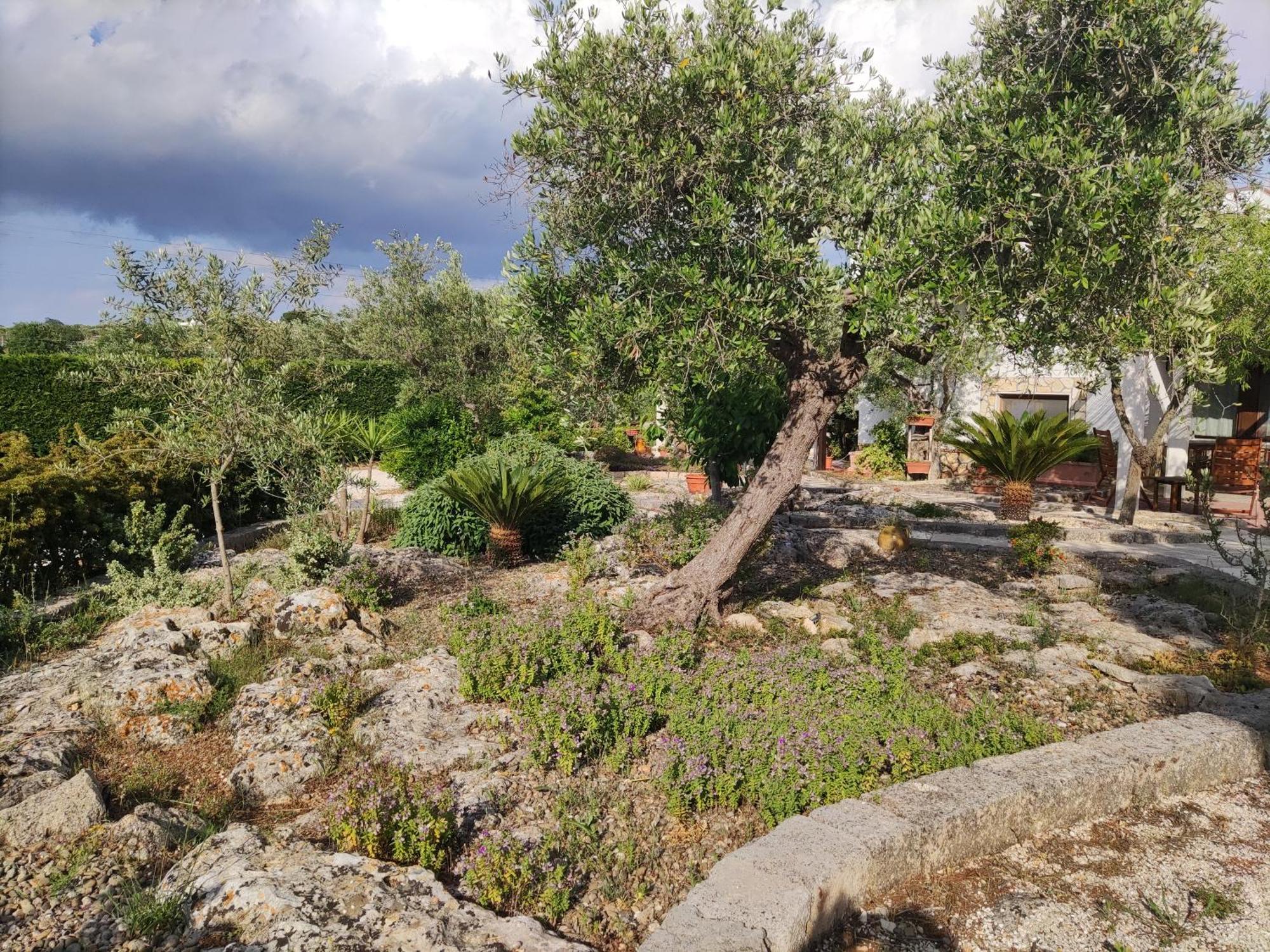 Villa Giulia B&B カステッラーナ・グロッテ エクステリア 写真